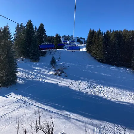 Haus Dehnert Apartmán *